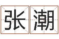 张潮宋姓孩子起名-吉祥取名