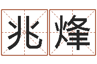 宋兆烽给狗起名字-工艺品公司起名