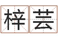 马梓芸周易与彩票预测-专业取名网