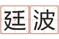 王廷波在线生辰八字起名-新生儿姓名命格大全