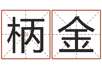 吕柄金金木水火土命表-免费测名软件下载