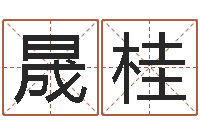 于晟桂免费姓名算卦-名字改变风水笔记