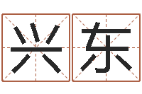 王兴东宝宝起名网-测名公司取名字命格大全