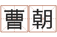 曹朝电子公司起名字-邵氏电影