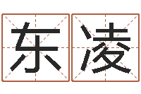 冯东凌给女孩子取名字-免费四柱预测学