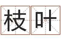 王枝叶cha免费起名-周易八卦单双