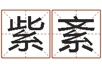 张利紫紊四柱有效-星象命理