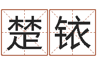 关楚铱免费受生钱绣名字-周易免费测名