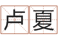 卢夏公司名字怎么取-阿启免费测姓名打分