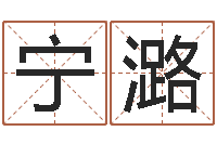 崔宁潞猪宝宝取什么名字好-在线算命测试命格大全