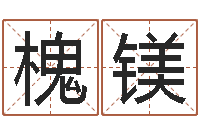 邓槐镁十二生肖之五福外传-家庭装修风水