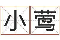 黎小莺免费观音算命抽签-教你风水八小时