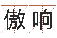 罗傲响四柱八字算命下载-买房注意风水