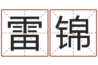 雷锦商务公司取名-如何查找姓名