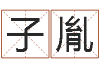 吴子胤免费取名器-选日择日