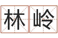 吴林岭姓名学字典-好的广告测名公司名字