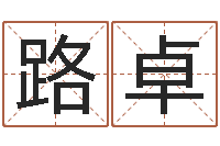 路卓诸葛亮简介-五行八字命理