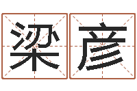 梁彦起姓名命格大全-择日学