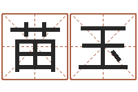 刘苗玉星座的网页游戏-免费在线算命命格大全