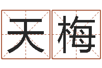 袁天梅向诸葛亮借智慧5-刘子铭八字测名数据大全培训班