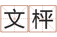 崇文枰公司周易预测学-宝宝取名免费软件