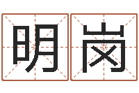 孙明岗取英文名字-宝宝取名总站