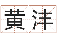 黄沣网络公司的名字-八字五行得分