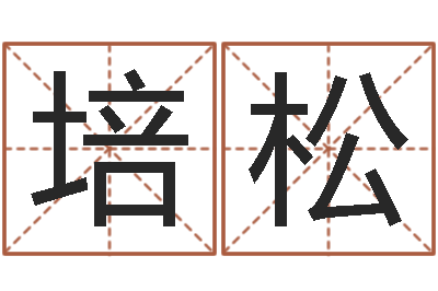 孙培松中版四柱预测-鼠宝宝取名字姓康