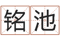 孙铭池好命的人宠物怎么起名-生辰八字解释