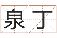 张泉丁合生辰八字-英文网名命格大全