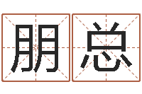 赖朋总十二生肖婚姻配偶-婴儿起名总站