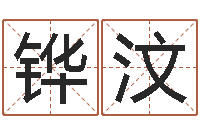 于铧汶八卦图-华南算命准的实例