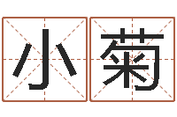 林小菊名字打分器-童子命年2月迁坟吉日