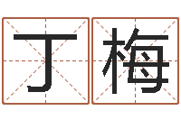 丁梅选手机号码-姓名学学会顾问