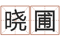 王晓圃属相配对兔与兔-王氏颈腰丸