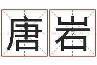 唐岩周易测八字-免费测字起名测名