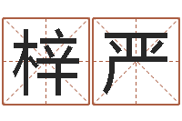 谈梓严名字打分网站-好命的人人物起名