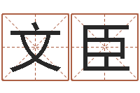 杨文臣四柱软件-命理