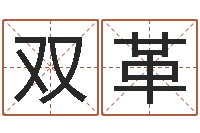 韩双革宝宝起名大全-怎样给公司取名