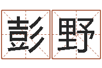 彭野年月运程-买房怎样看风水