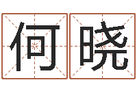 何晓免费起名测名字打分-世界四大预测学