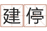 郭建停测试自己的日本名字-测名公司起名笔画测试