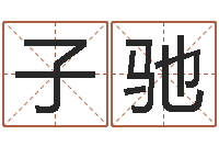 陈子驰云南省木材管理-狗的英文名字