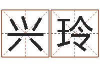 张兴玲怎样分析四柱八字-阳宅风水