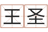 王圣免费取名测分-阿启免费算命大全