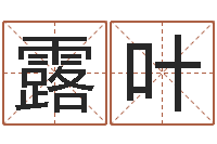 郑露叶称骨算命表-周易算命预测研究中心