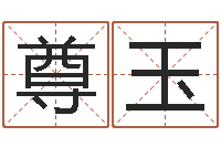 陈尊玉怎样查手机号姓名-风水预测点窍