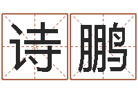 卢诗鹏小孩起英文名-劲舞团英文名字