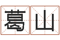 葛山姓名转运法-姓名笔画算命