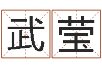 武莹男孩起名-起名字算命